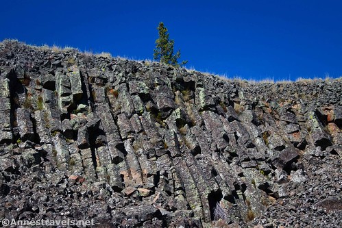 Basalt columns on Sheepeater Cliff, Yellowstone National Park, Wyoming