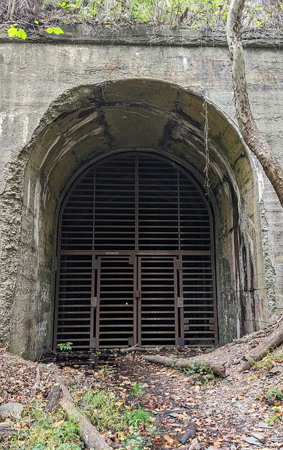 Indigo Tunnel
