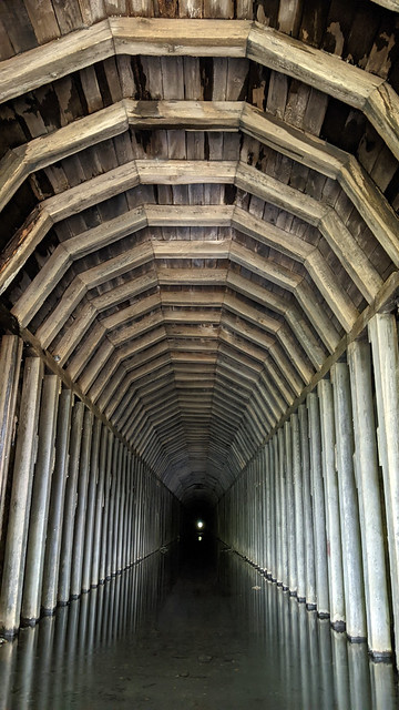Indigo Tunnel