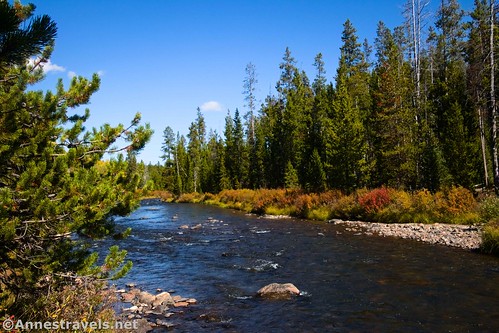 Along the Gardner River near the Sheepeater Cliff Trailhead, Yellowstone National Park, Wyoming
