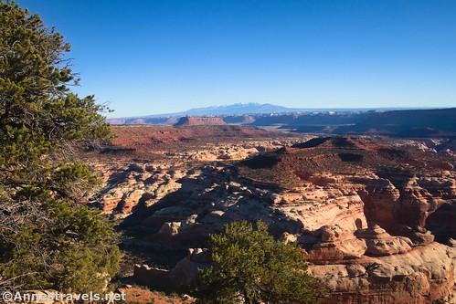 Views to the La Sal Mountains from Overlook 5 on the Big Pocket Overlooks Road, Needles District of Canyonlands National Park and Bear Ears National Monument, Utah