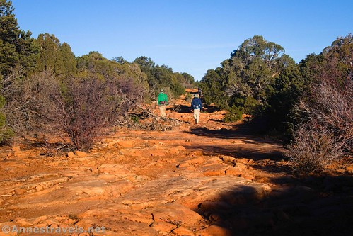 Hiking along the Big Pocket Overlooks Road, Needles District of Canyonlands National Park and Bear Ears National Monument, Utah