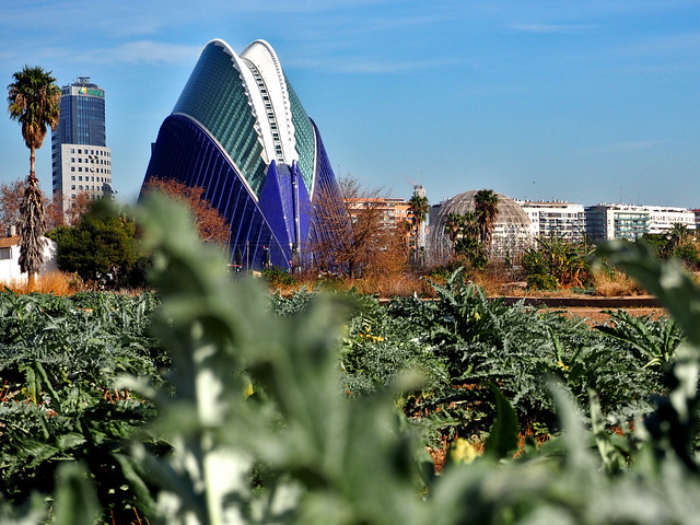 Calatrava and the artichokes - Valencia