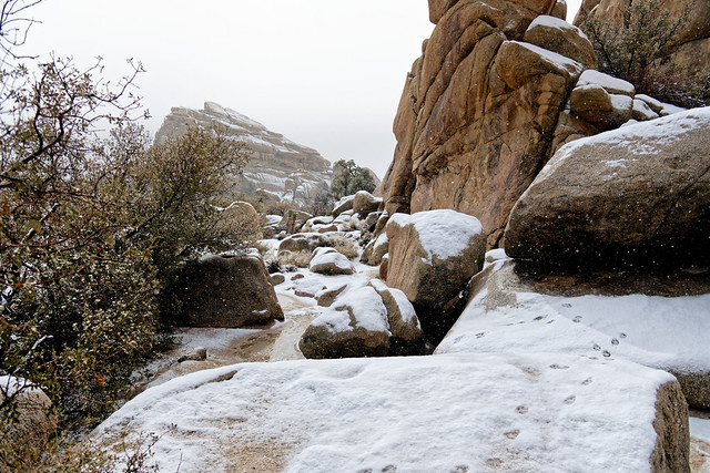 Heading off to Walk the Hidden Valley Nature Trail on a Snowy Day (Joshua Tree National Park)
