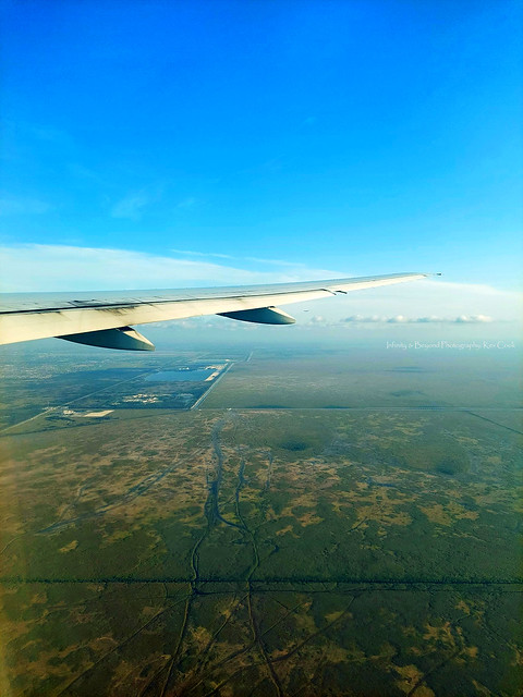 Flying Over the Florida Everglades