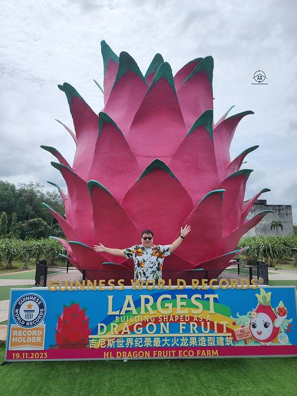 hl dragon fruit eco farm guiness world record holder