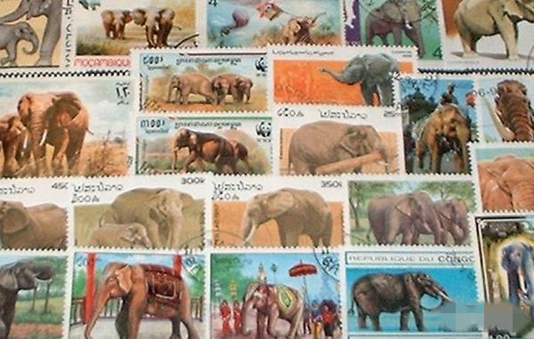 Motives 50 different Elephants stamps