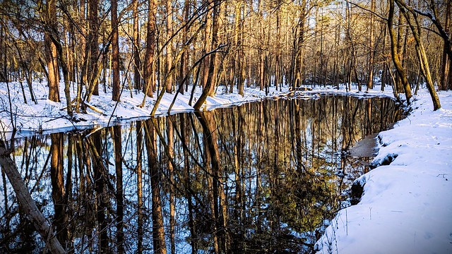 Winter reflections... 2/2
