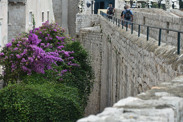 walking on the city wall