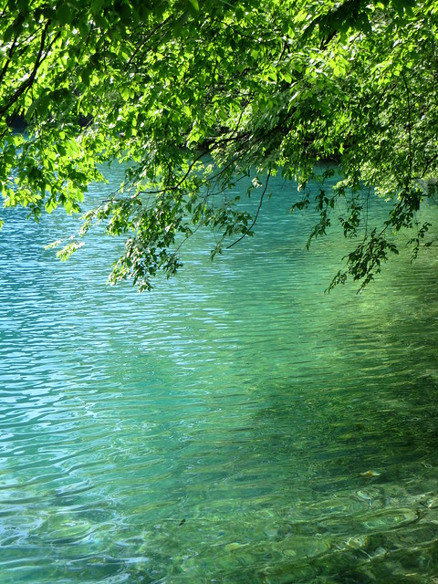 Nuances, parc national des lacs de Plivtice, comté de Lika-Senj, Croatie, Europe.