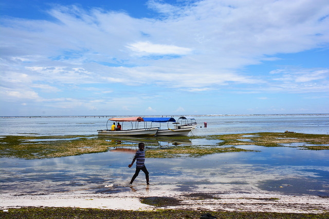 marée basse Zanzibar_2864