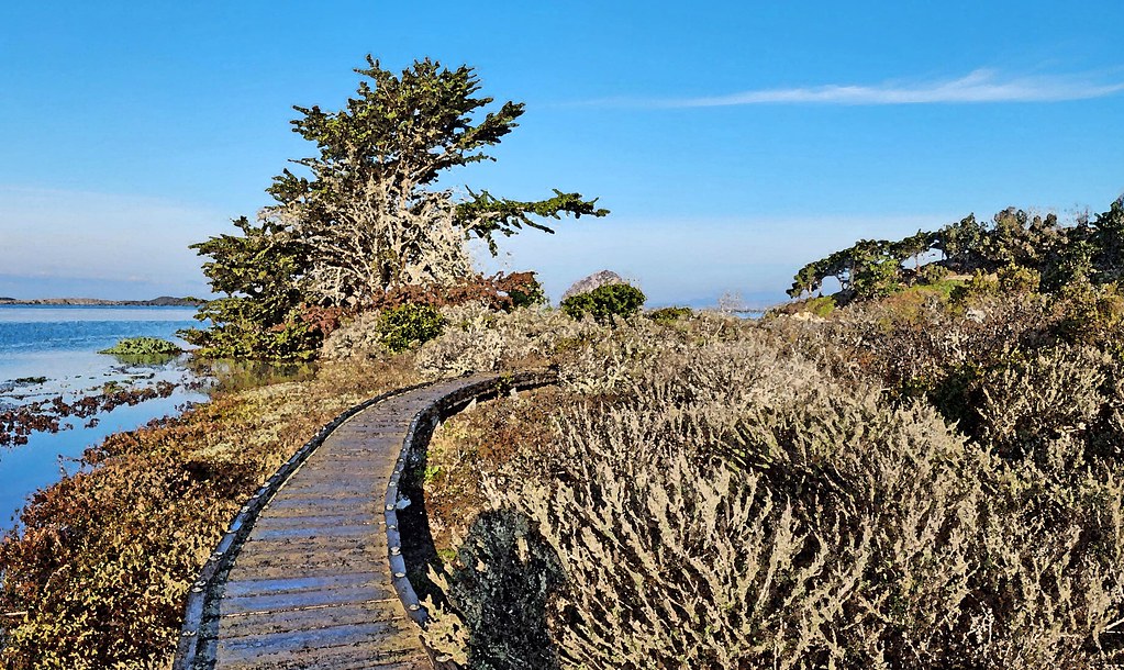Pipeline Trail