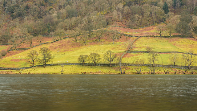 Walls & Trees by Rydal Water