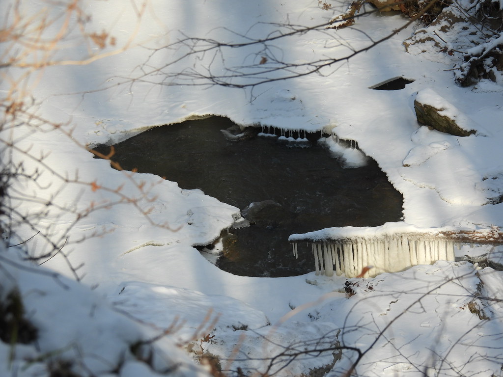 small pond with ice formations