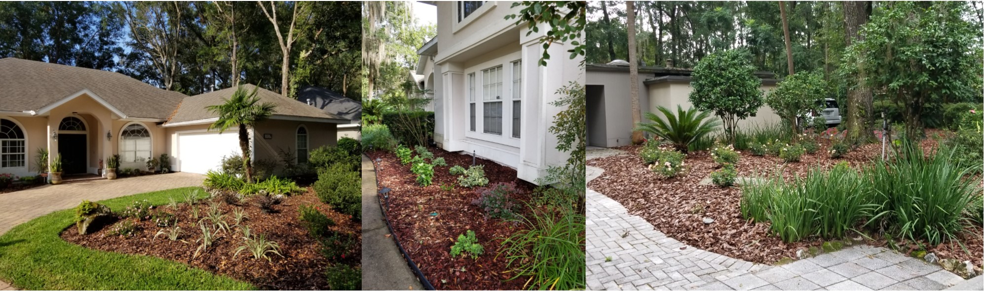 florida friendly landscaping