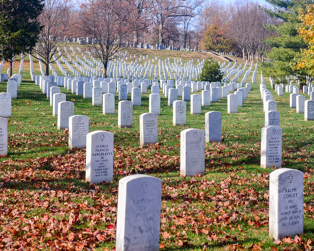 Tumbas de veteranos de guerra en el cementerio de Arlington que vimos durante la excursión a Washington desde Nueva York