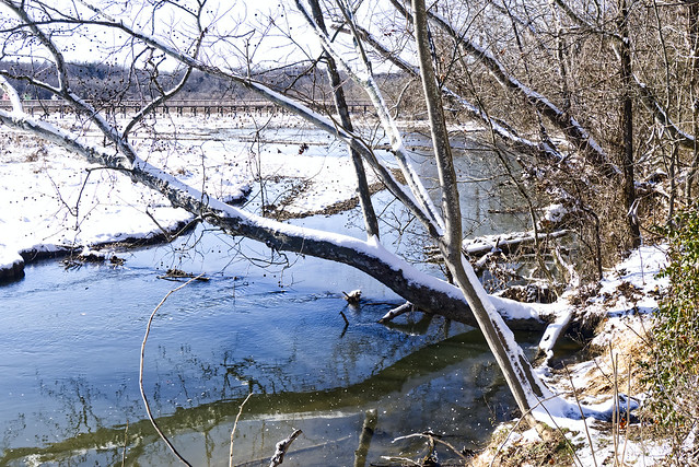 Neabsco Creek Winter