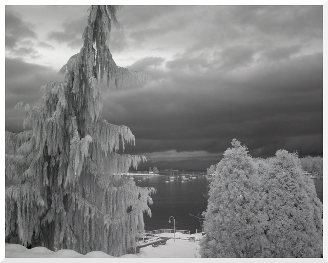 Snow Day Infrared (850nm) - 2 (of 36) - Sony Cyber-shot DSC-F828 with fixed Carl Zeiss Sonnar 1:2-2.8 28-200mm (eq.) & 850nm IR Filter & Polarizer