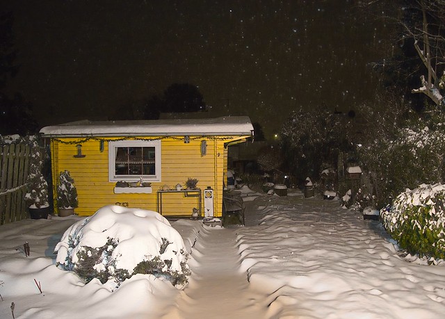 Winter in our Garden, we haven't had this much snow in a long time