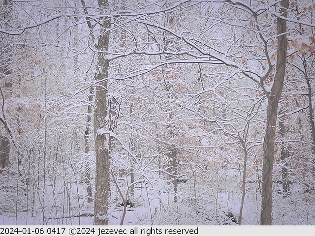 2024-01-06 0417 Eagle Creek Indianapolis - Winter Snow