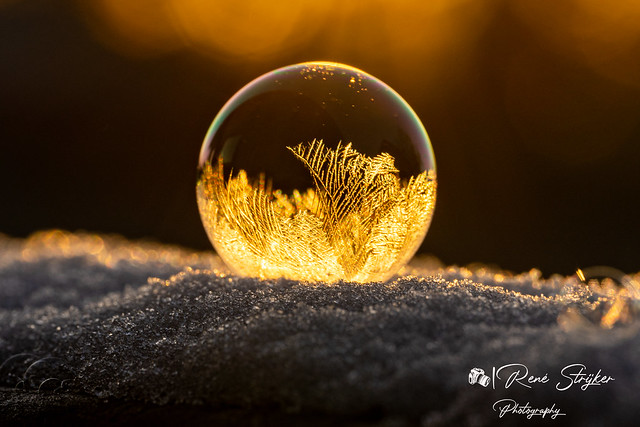 frozen bubble during sunrise