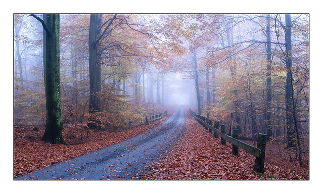 Sweden Autumn Mist II