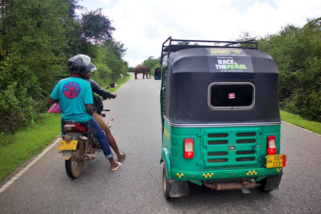 Conducir tuk tuk en Sri Lanka
