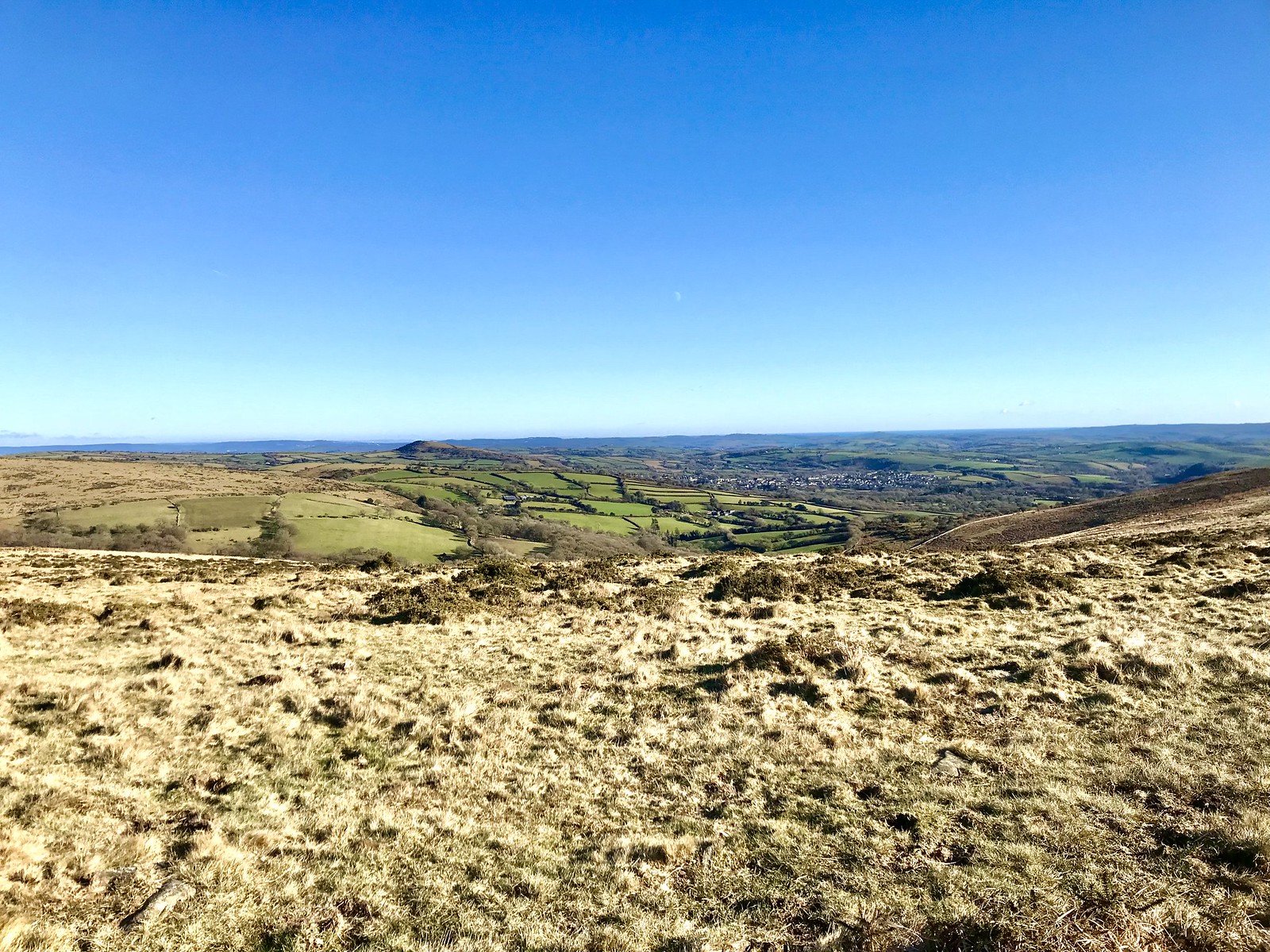 Glorious view of the West Moor - climbing out of Bittaford