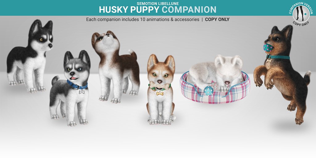 SEmotion Libellune Husky Puppy Companion
