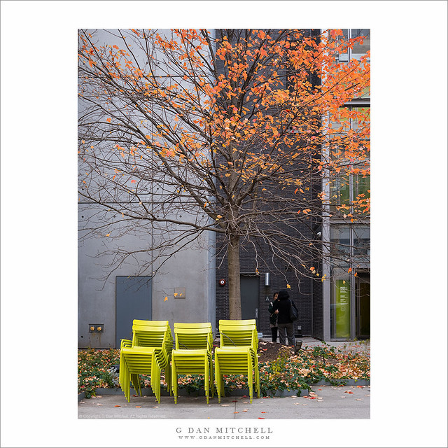 Autumn Chairs, Whitney Museum