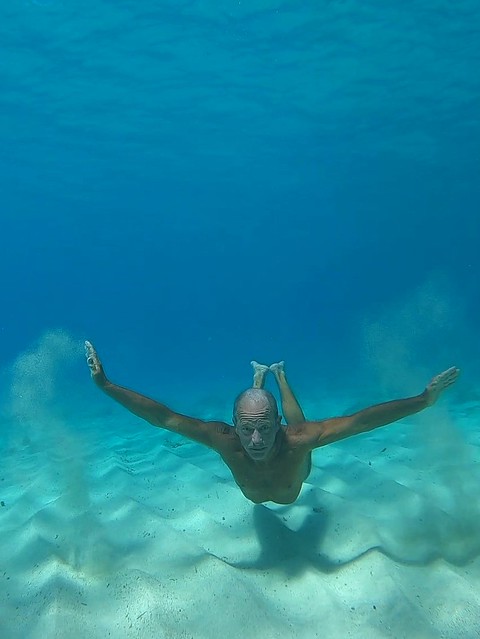 Swimming Free