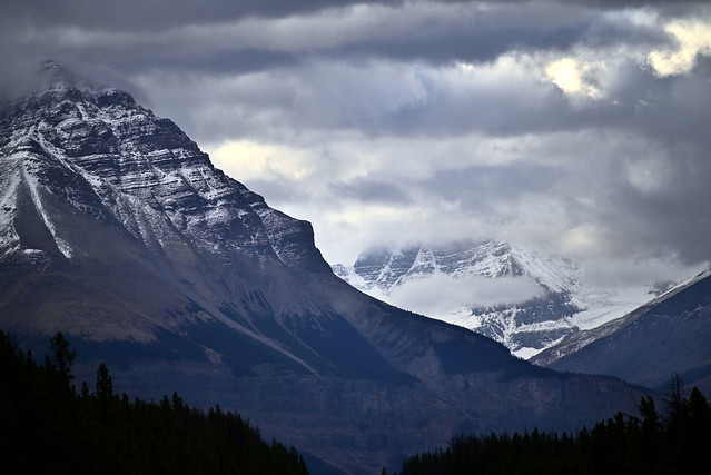 Tangle Ridge (left) and Mt. Kitchener (distance) in Jasper from Icefields Pkwy
