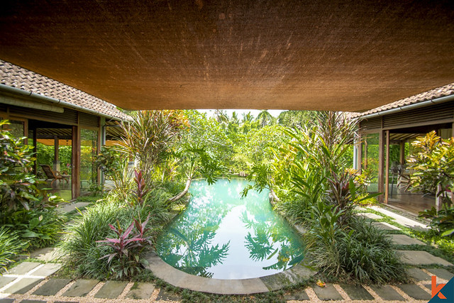 ubud-villa-poolside-garden-view