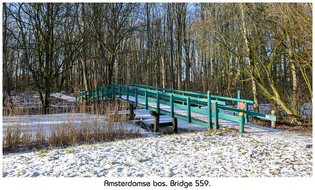 Winter in the Amsterdamse Bos. Bridge 559.
