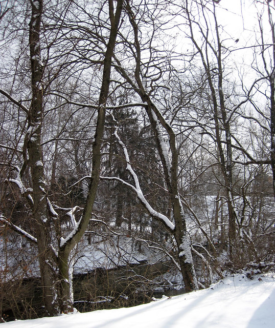 Snow from Winter Storm Indigo (19 January 2024) (Newark, Ohio, USA) 1