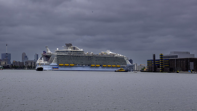 Harmony of the Seas - Nieuwe Maas - Port of Rotterdam