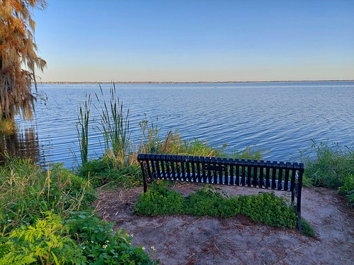 lake parker lakeland florida bench view nature circlebbarreserve landscape