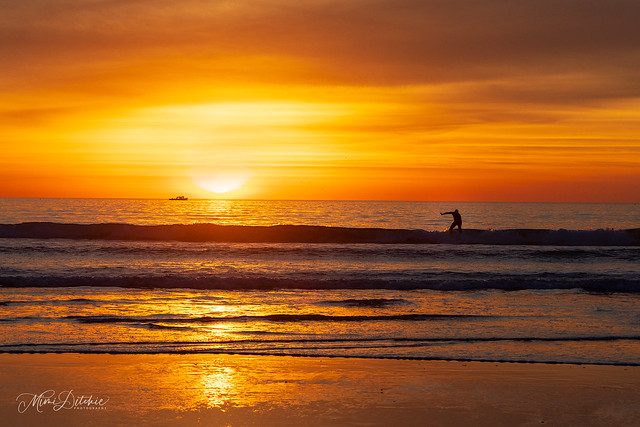 Surfing at Sunset