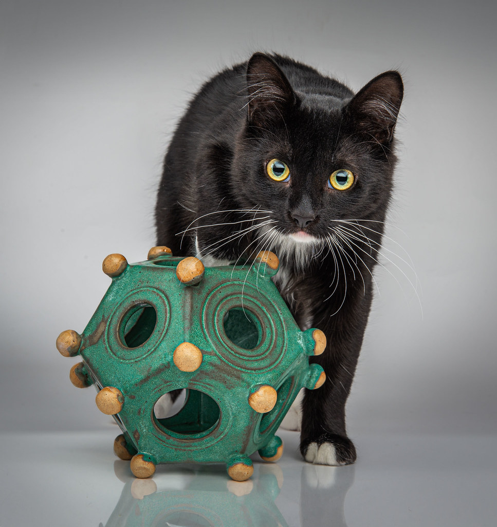 Cat With Roman Style Dodecahedron