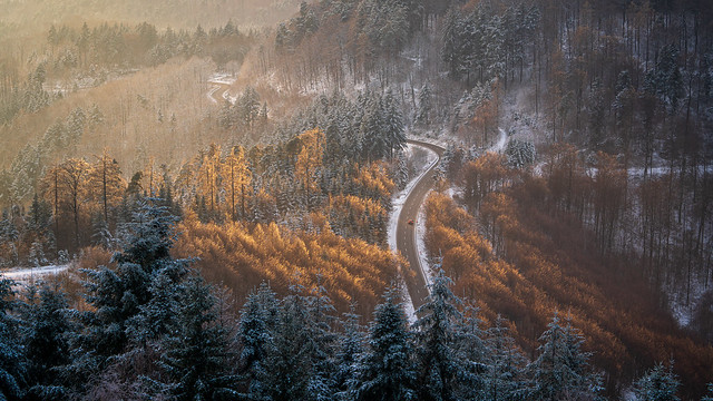 The golden rays of the setting sun hit the trees beside a road through the wintry Black Forest