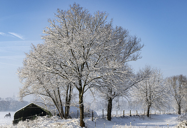 Winter in Leverkusen