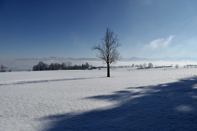 winter wonderland Switzerland