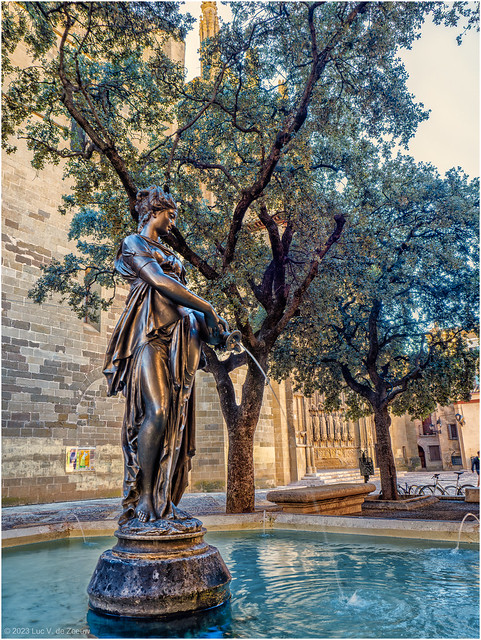 Fountain at the Plaza de la Catedral