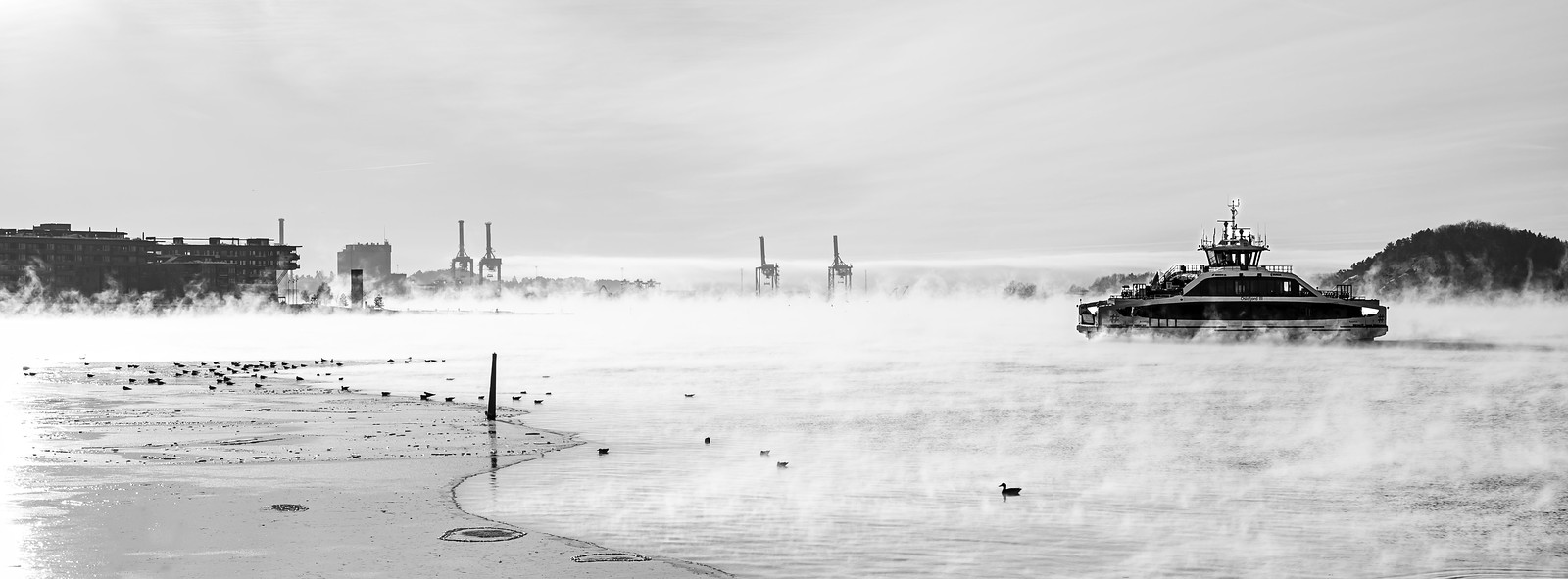 A monochromatic image of a ferry gliding over a mist-covered waterway near the Oslo Opera House, with industrial structures in the background and birds on the icy shoreline