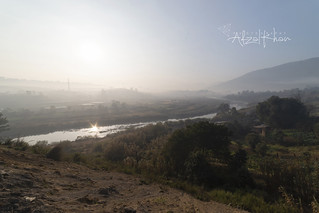 Flickr photo: warm winter mornings I