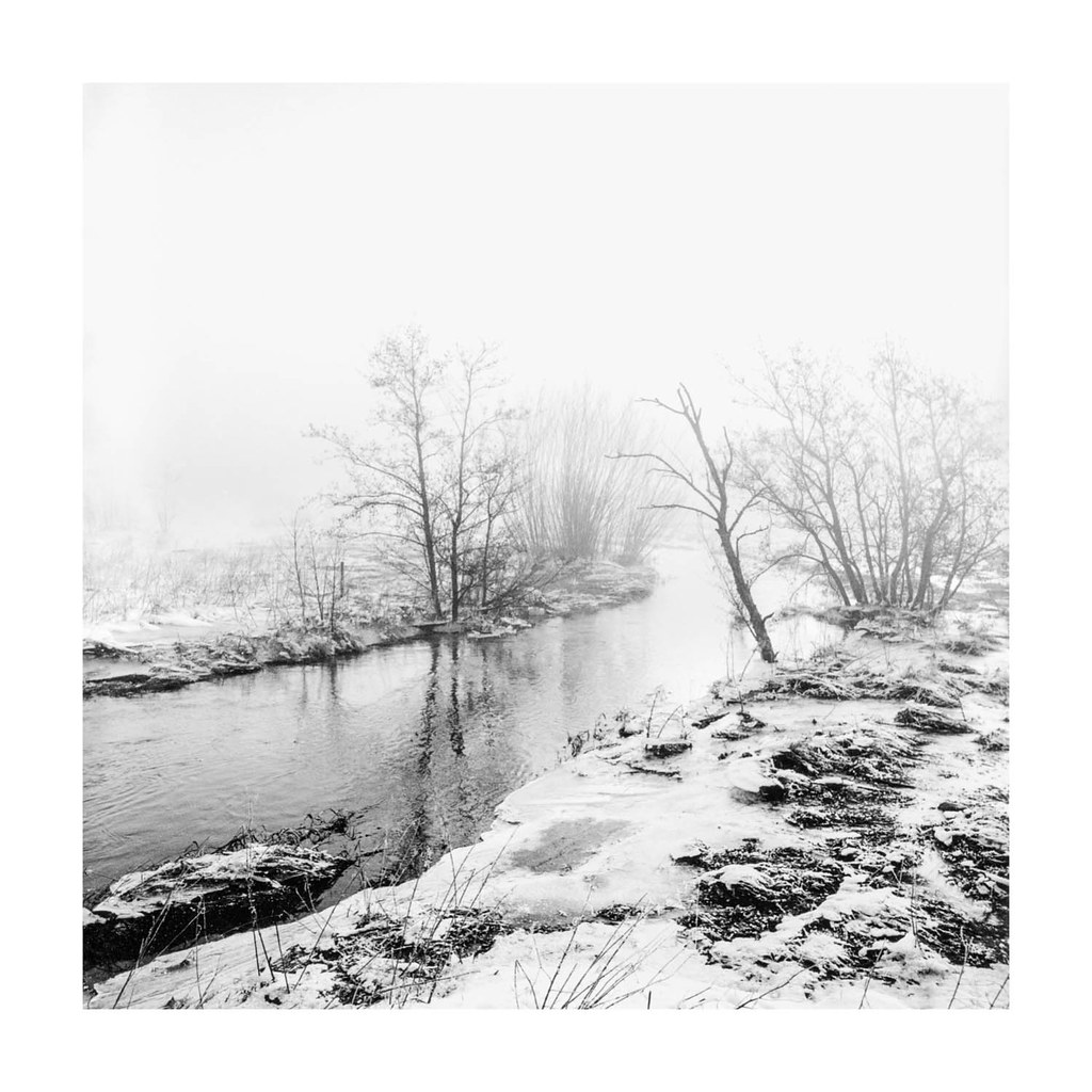 Misty winter scene