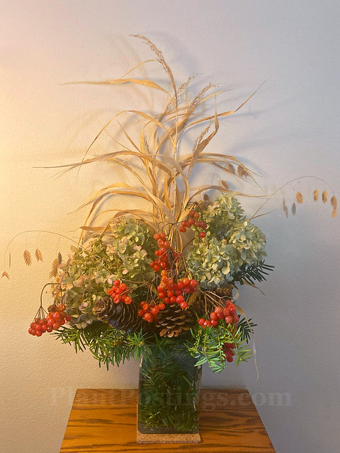 winter arrangement