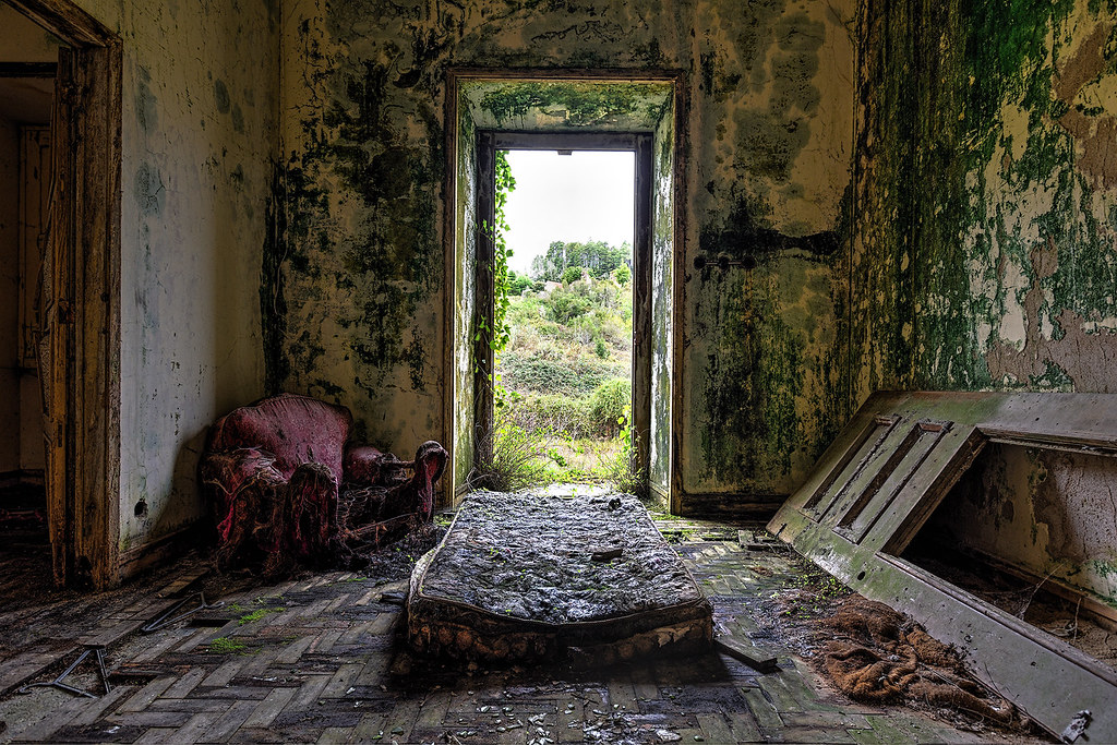 The beauty of decay