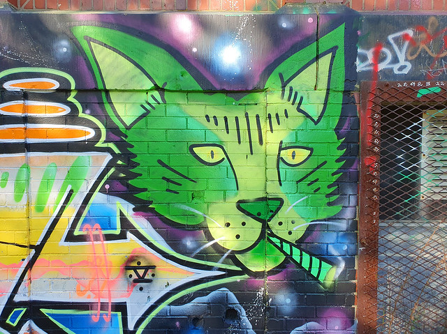 Green Smoking Cat Graffiti