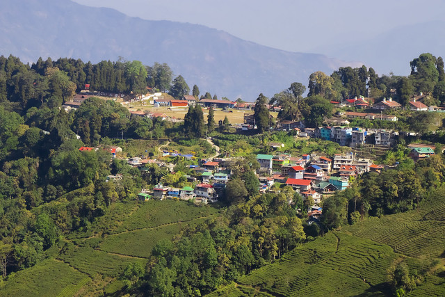 Nature view o Darjeeling